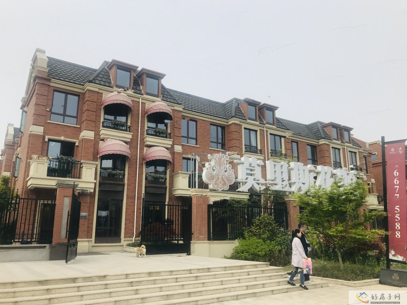 实景图