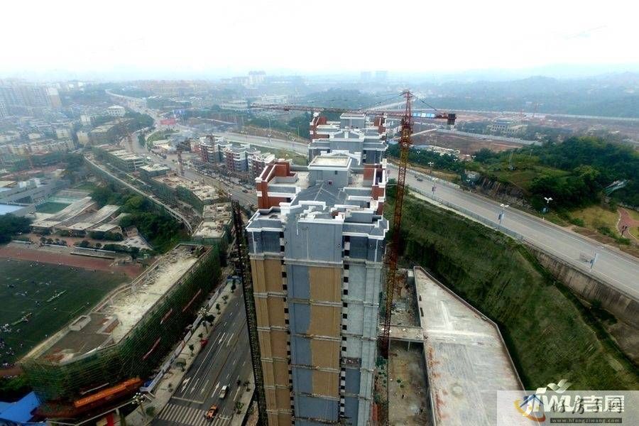 实景图