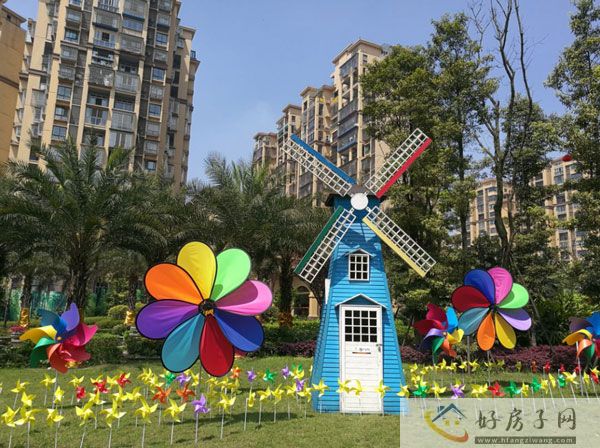 实景图