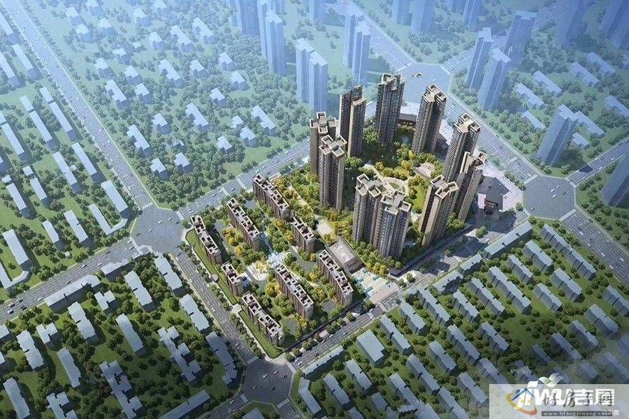 实景图