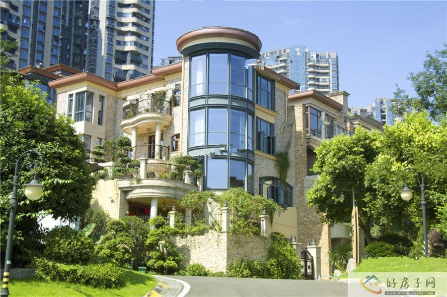 实景图
