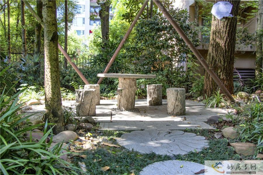 实景图