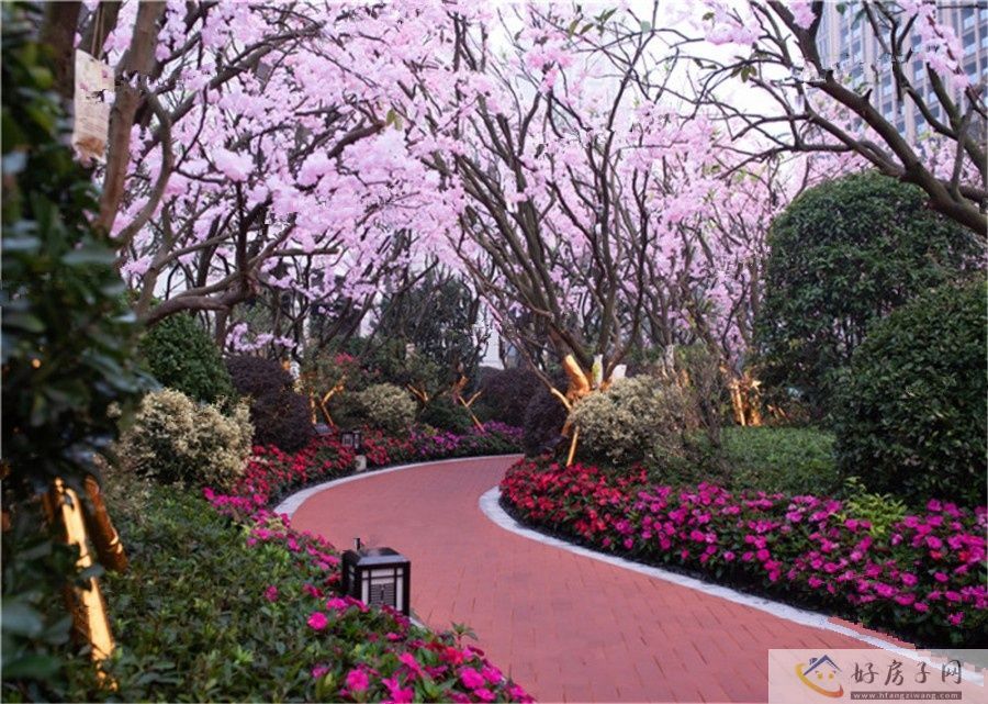 实景图