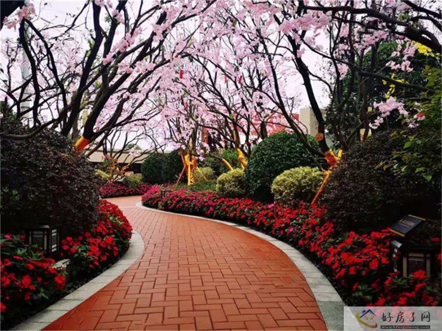 实景图
