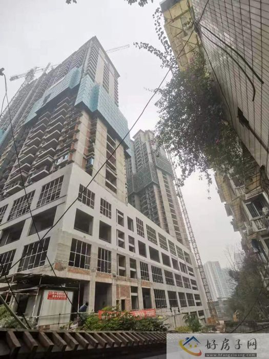 实景图