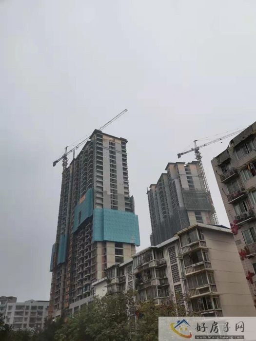 实景图