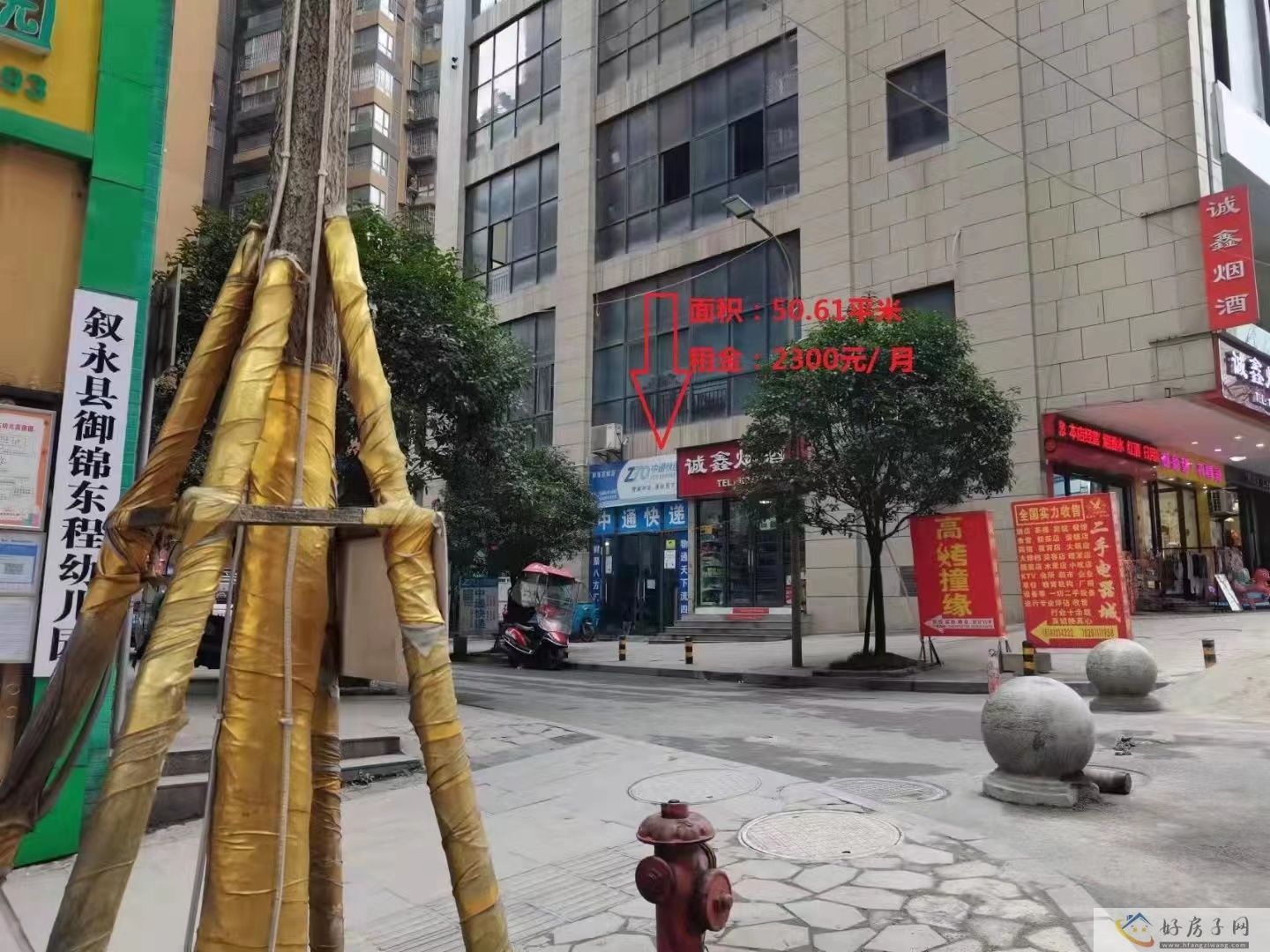 实景图