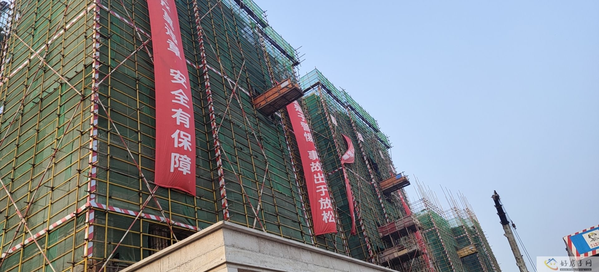 实景图