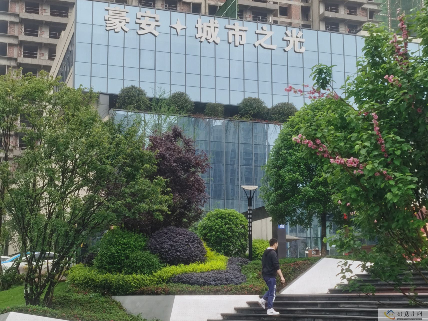 实景图