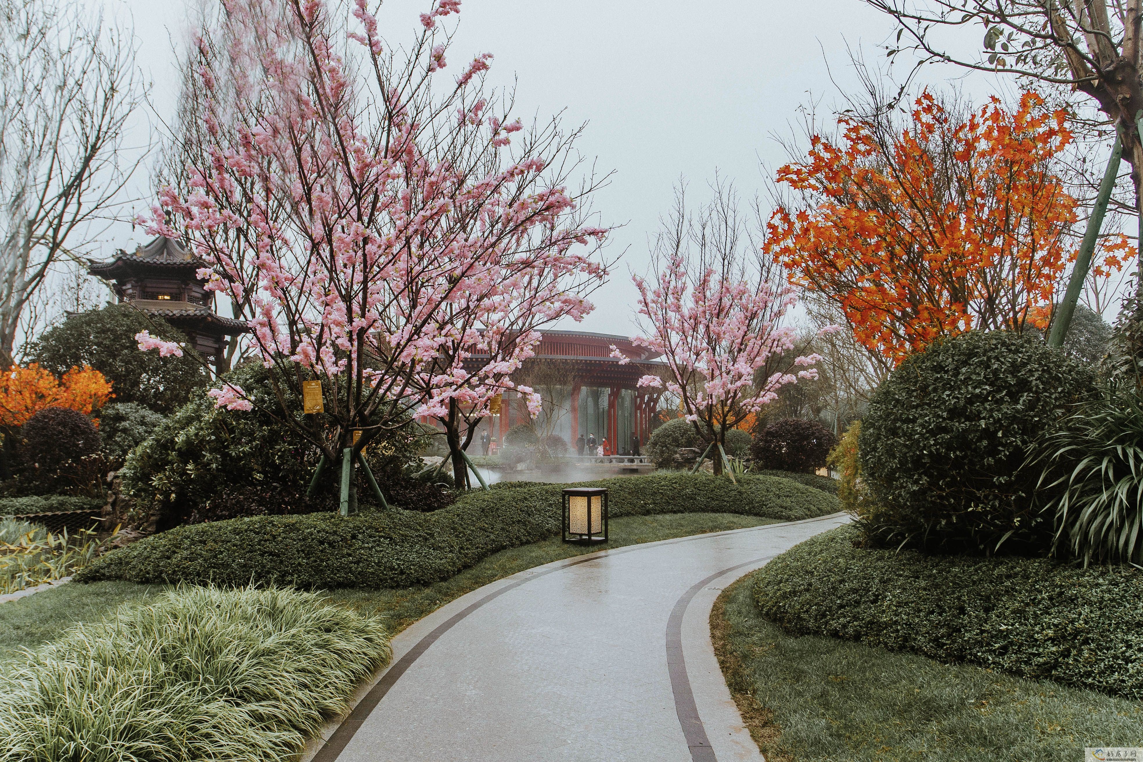实景图