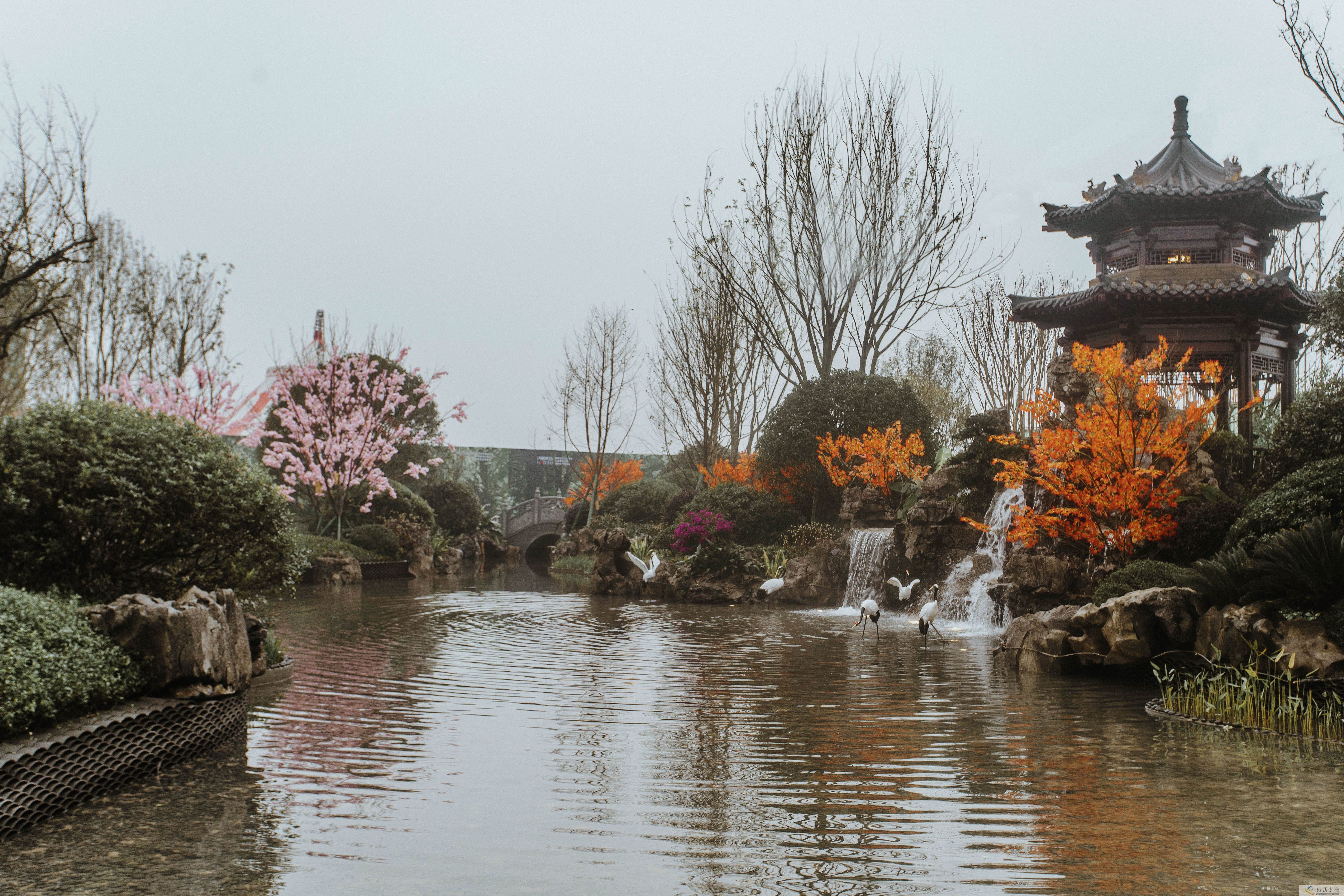 实景图