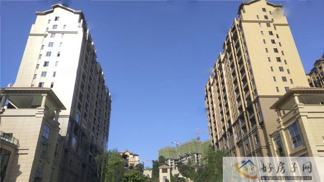 实景图