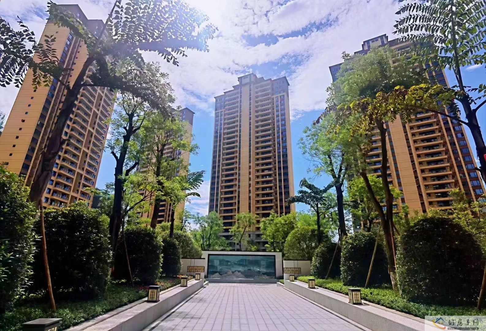 实景图