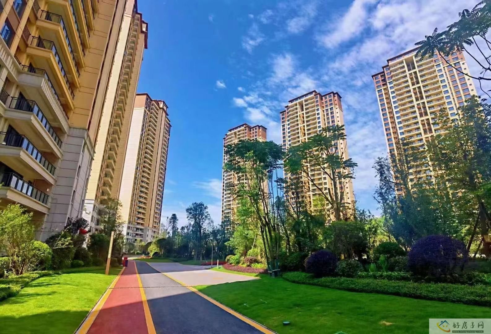 实景图