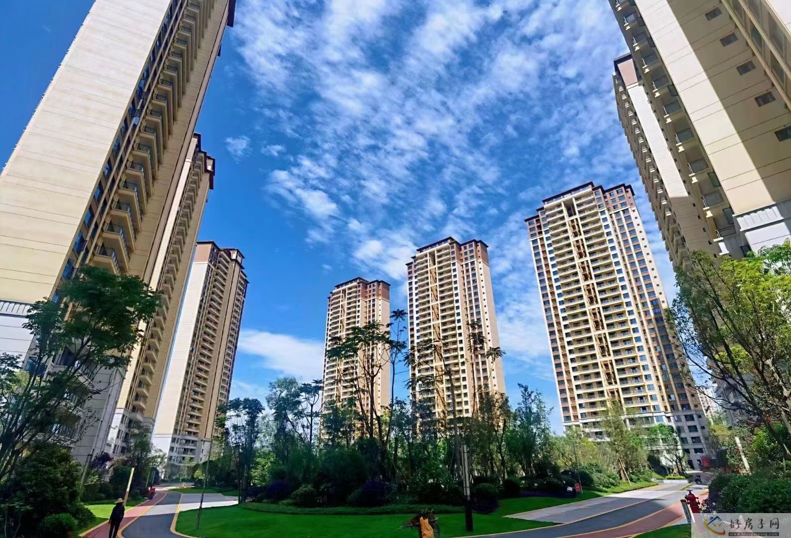 实景图