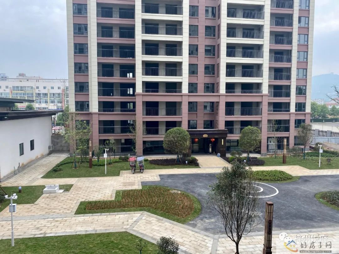 实景图