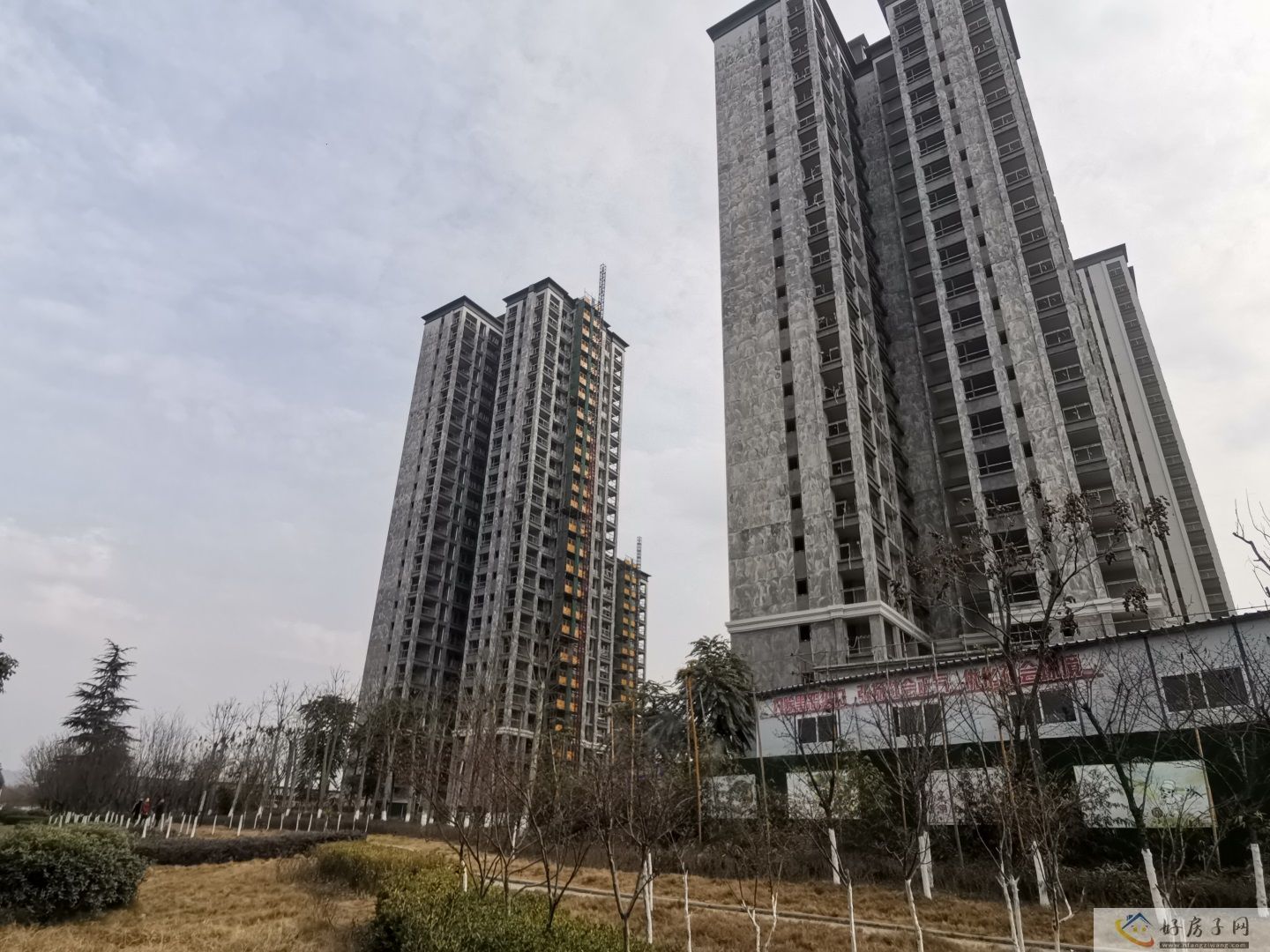 实景图
