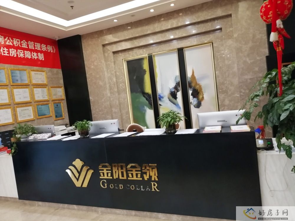 效果图